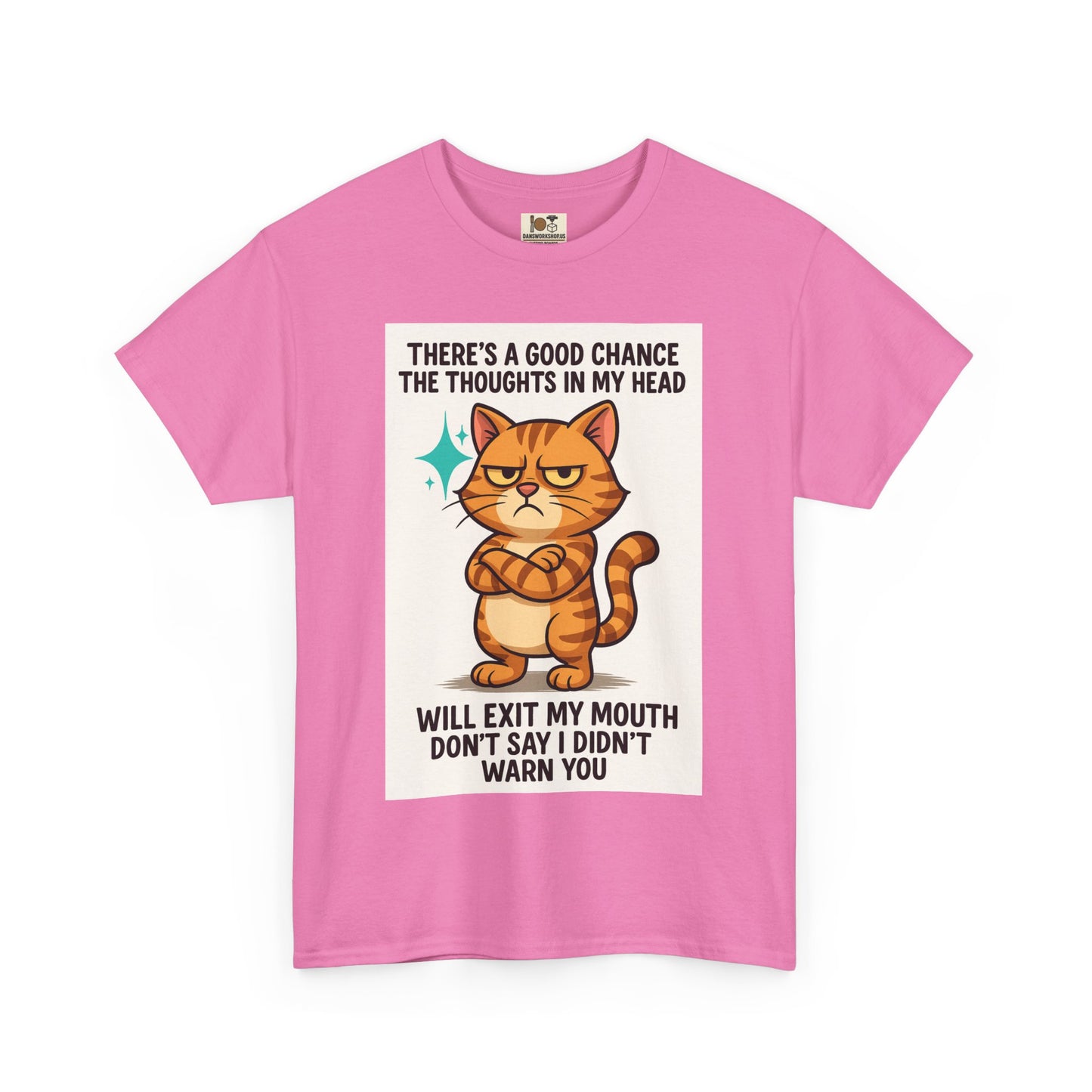 Funny Cat Quote Unisex Heavy Cotton Tee, Humorous Cat Lover Gift, Casual Everyday Wear, Perfect for Birthdays, Cat Awareness