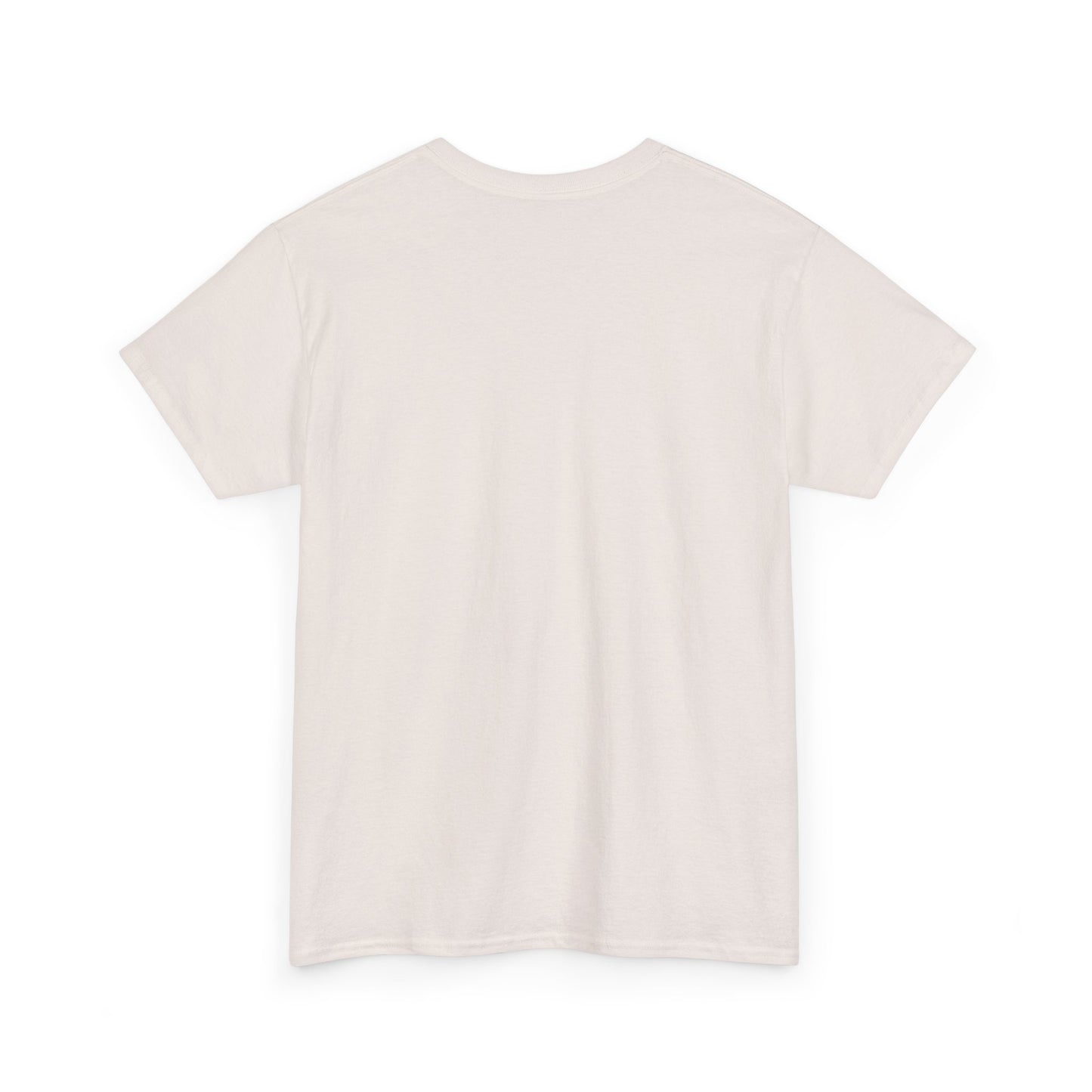 Egyptian Hieroglyphs Unisex Heavy Cotton Tee, Graphic Tee, Casual Wear, Gift Idea, Unique Shirt, Summer Style