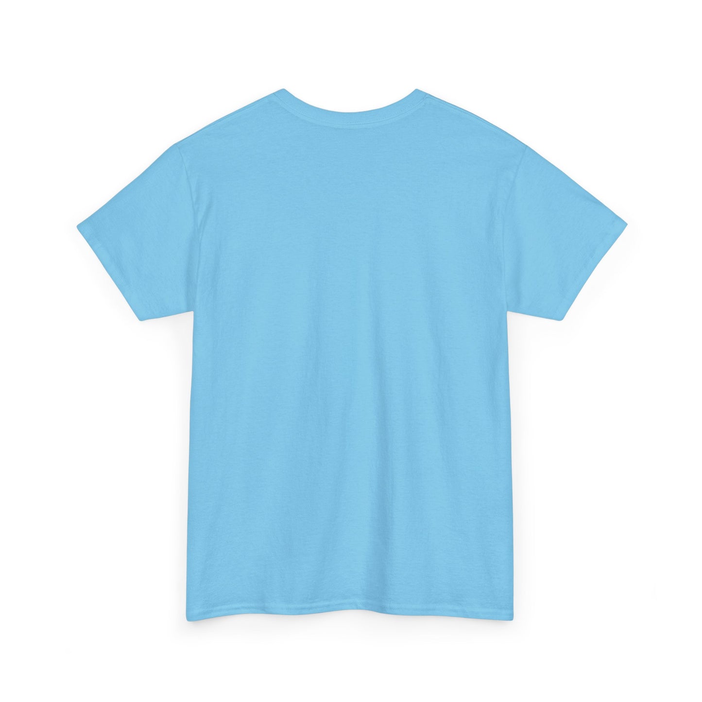 Egyptian Hieroglyphs Unisex Heavy Cotton Tee, Graphic Tee, Casual Wear, Gift Idea, Unique Shirt, Summer Style