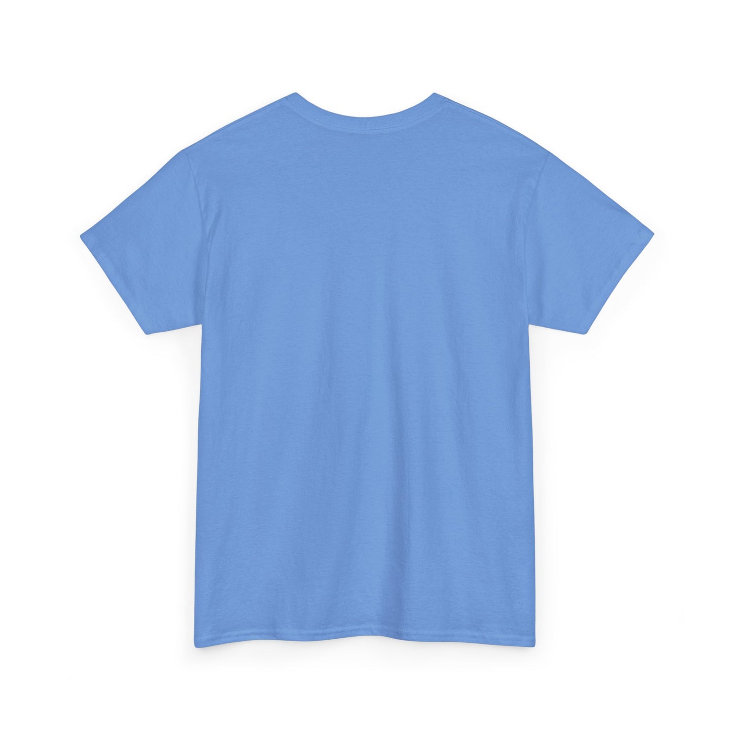 Egyptian Hieroglyphs Unisex Heavy Cotton Tee, Graphic Tee, Casual Wear, Gift Idea, Unique Shirt, Summer Style