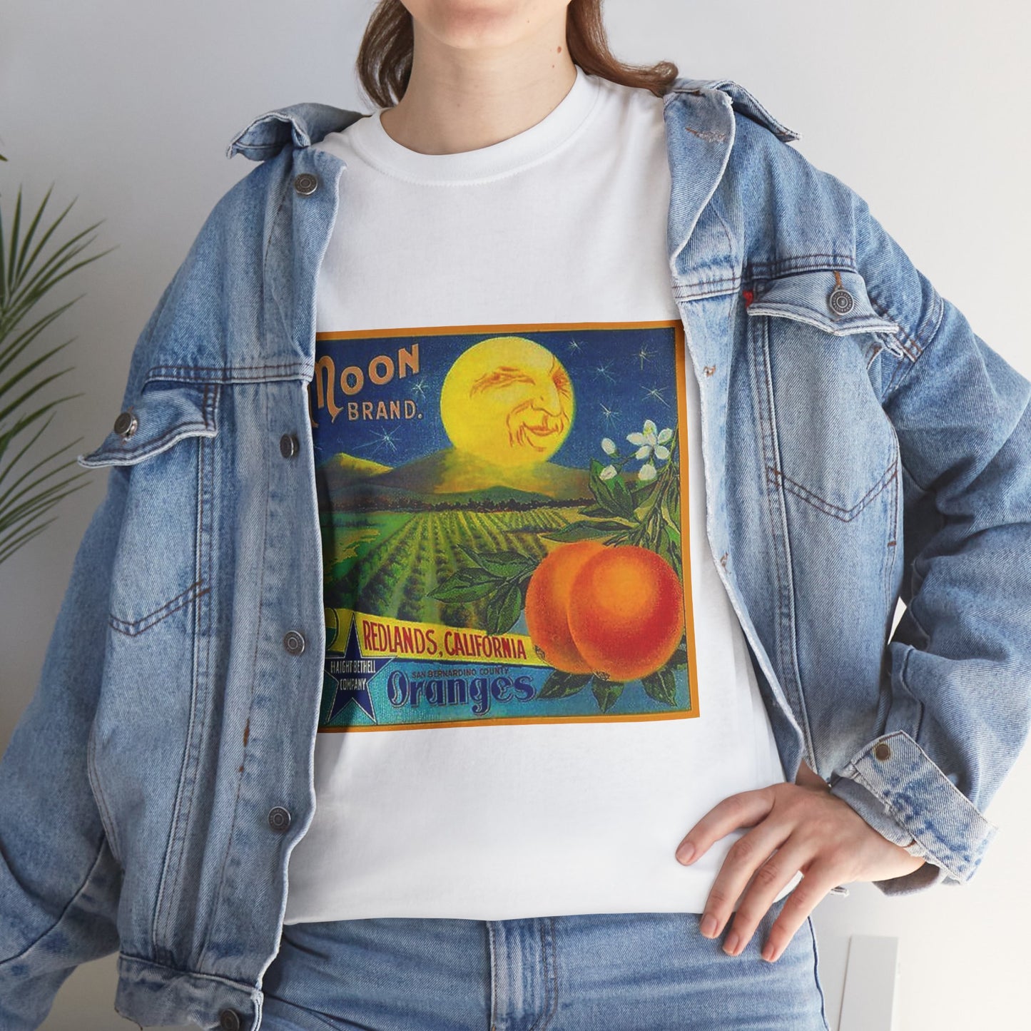Vintage Inspired Unisex Heavy Cotton Tee, Retro Graphic Shirt, Casual Wear, Gift for Him/Her, Summer Vibes, Art Lovers Tee