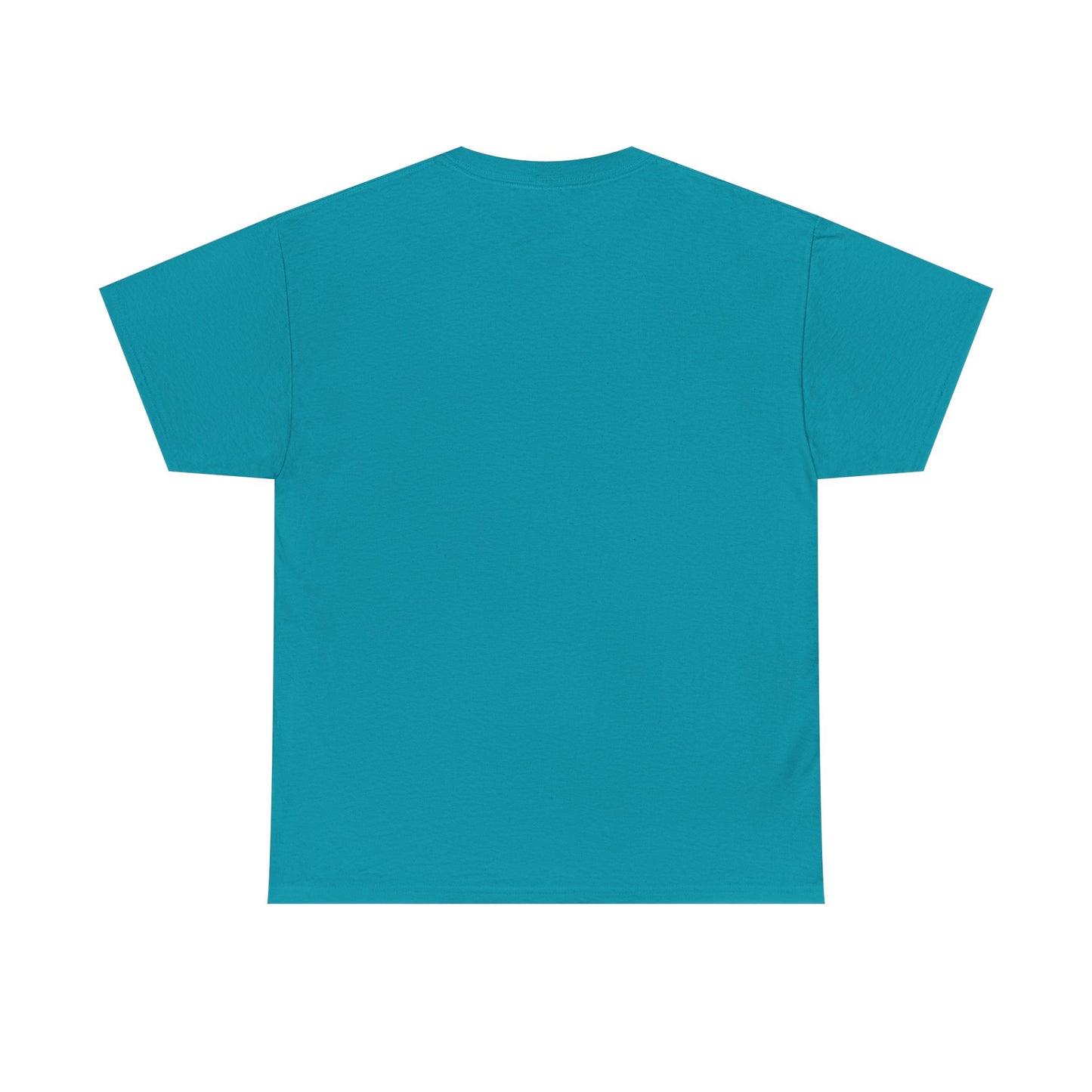 Egyptian Hieroglyphs Unisex Heavy Cotton Tee, Graphic Tee, Casual Wear, Gift Idea, Unique Shirt, Summer Style