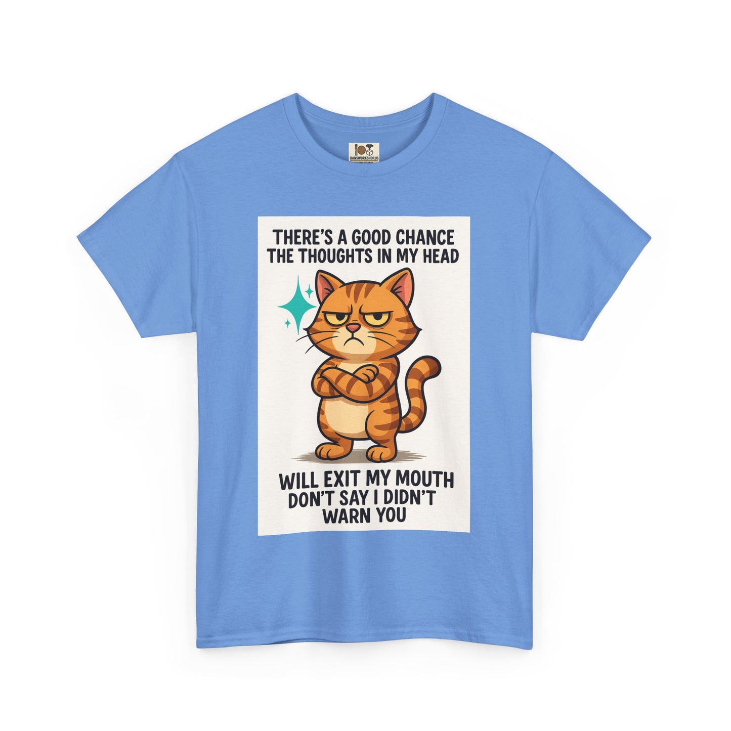 Funny Cat Quote Unisex Heavy Cotton Tee, Humorous Cat Lover Gift, Casual Everyday Wear, Perfect for Birthdays, Cat Awareness