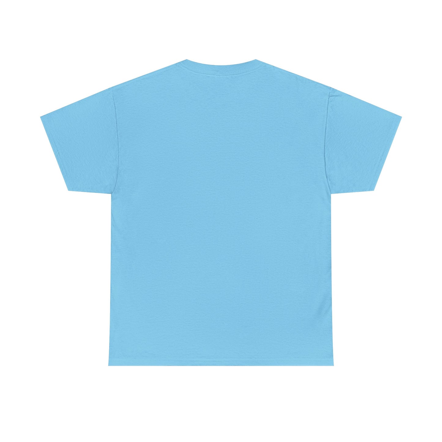 Egyptian Hieroglyphs Unisex Heavy Cotton Tee, Graphic Tee, Casual Wear, Gift Idea, Unique Shirt, Summer Style