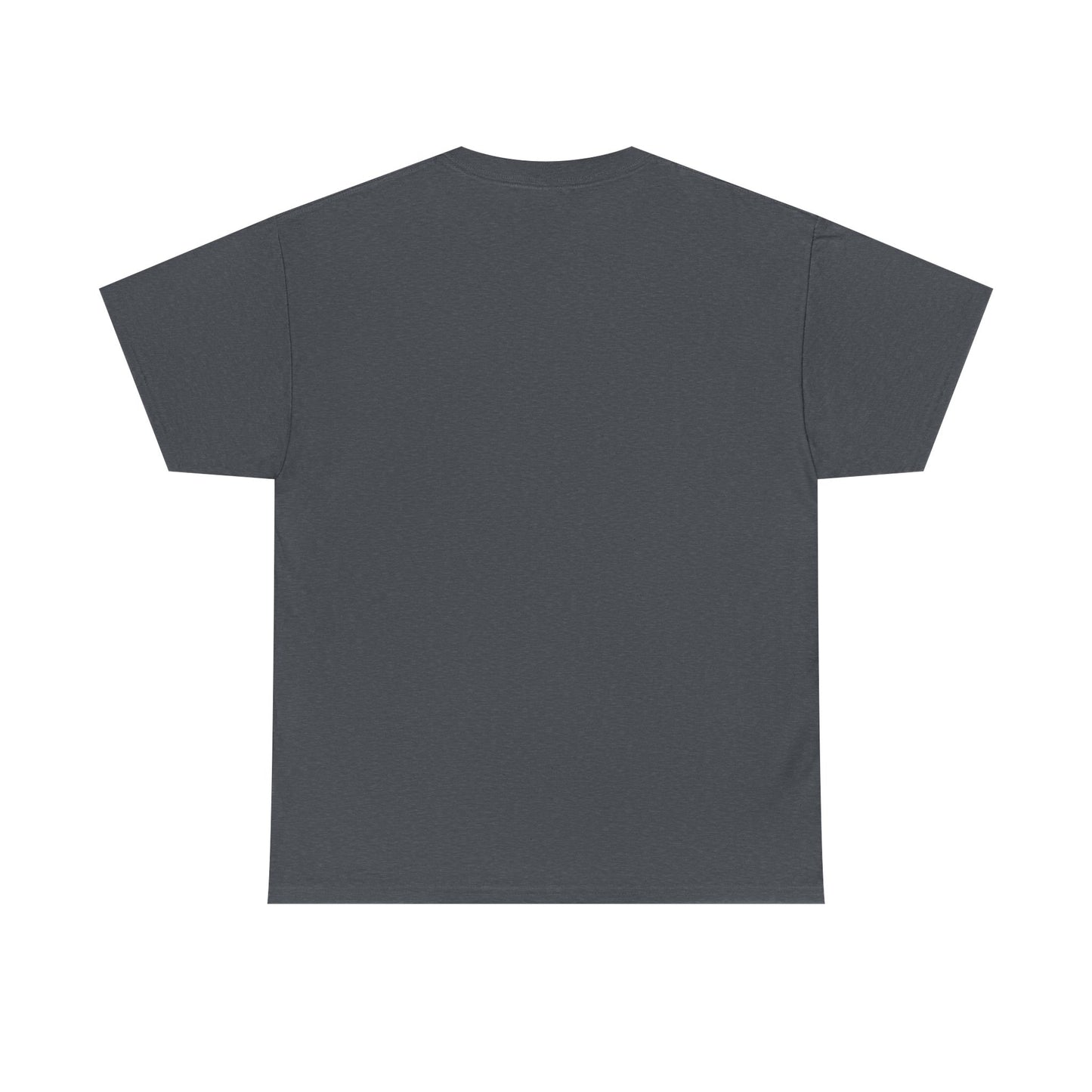 Egyptian Hieroglyphs Unisex Heavy Cotton Tee, Graphic Tee, Casual Wear, Gift Idea, Unique Shirt, Summer Style